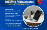 Création des sites web professionnel 